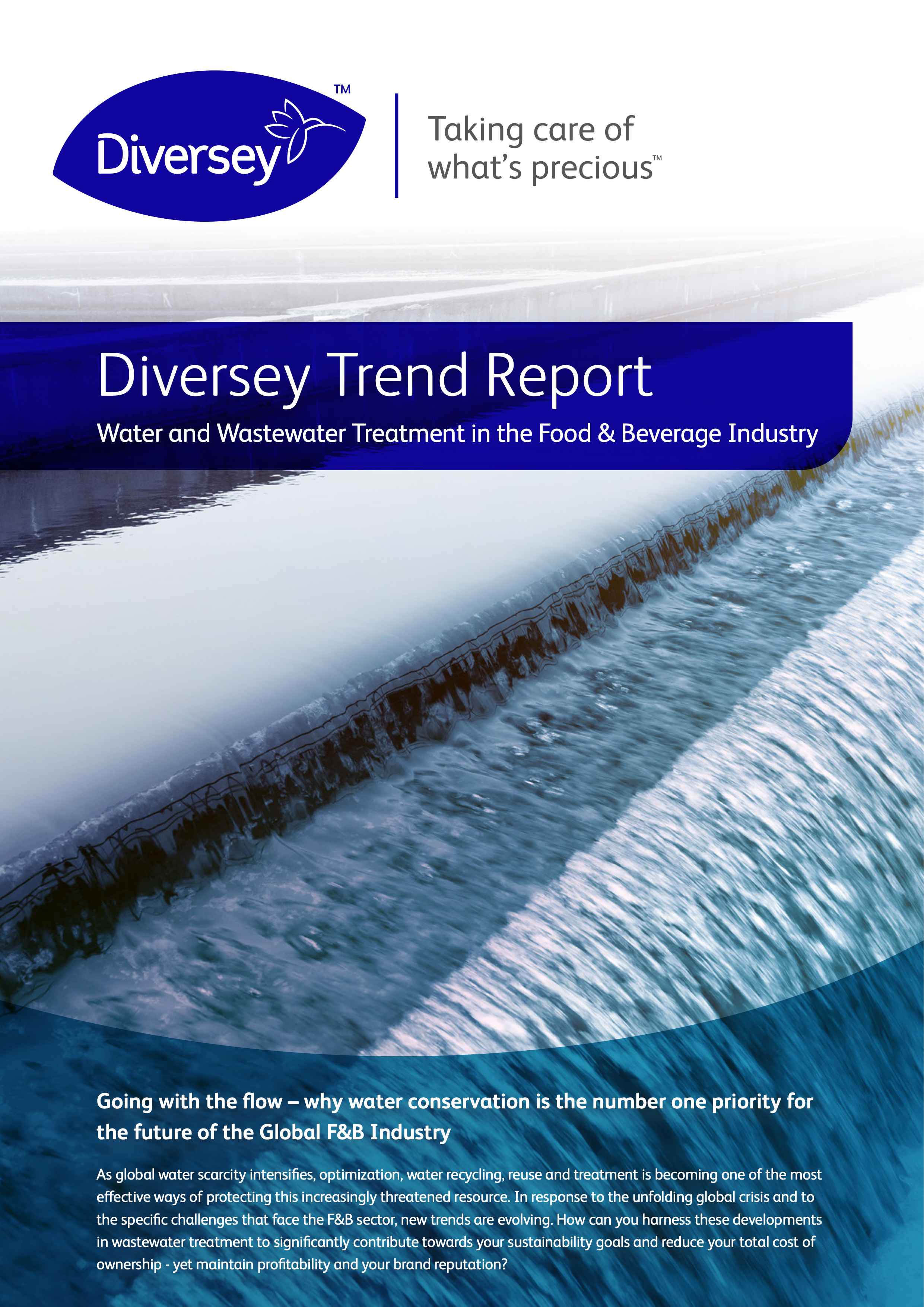 Rapport de tendance Diversey